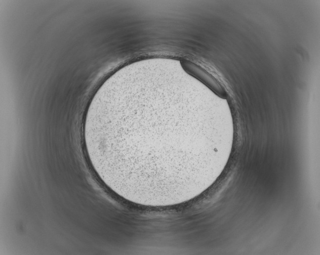 X0000112810625200910021141
