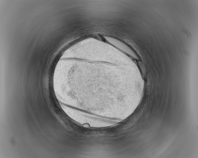 X0000112810626200910021141