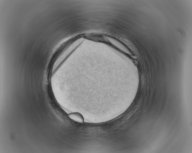 X0000112810628200910021141