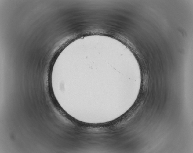 X0000112810629200910021141