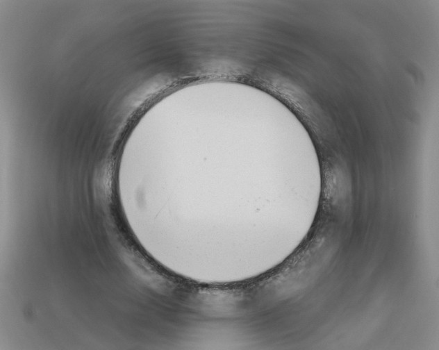 X0000112810632200910021141