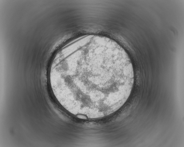 X0000112810634200910021141