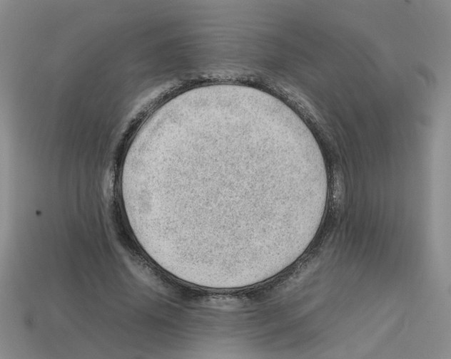 X0000112810636200910021141
