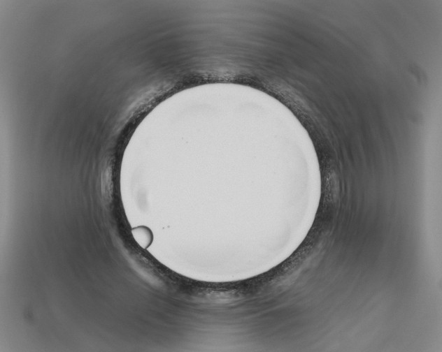 X0000112810638200910021141