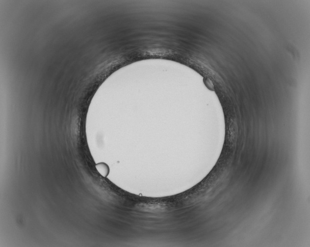 X0000112810639200910021141