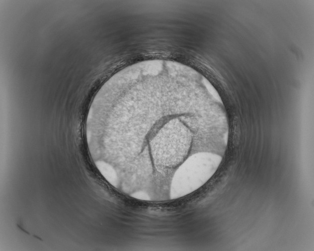 X0000112810641200910021141