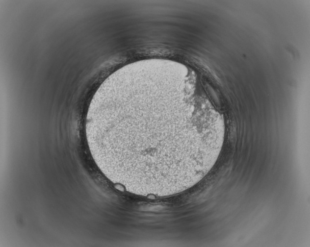 X0000112810643200910021141