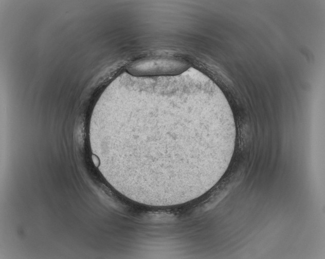 X0000112810644200910021141