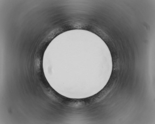 X0000112810646200910021141