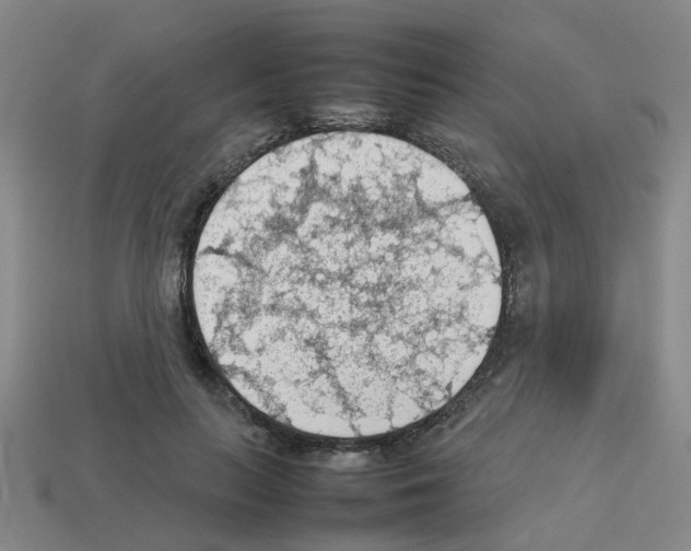 X0000112810647200910021141