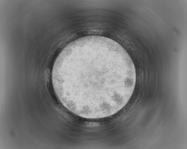 X0000112810649200910021141