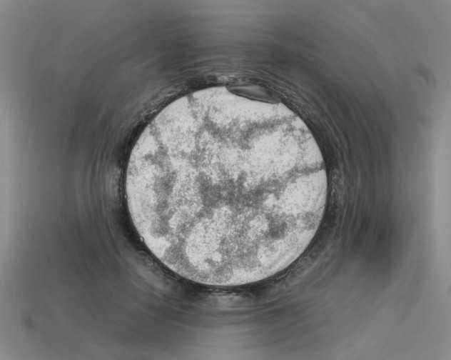 X0000112810650200910021141