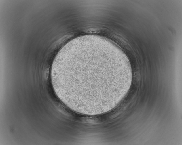X0000112810652200910021141