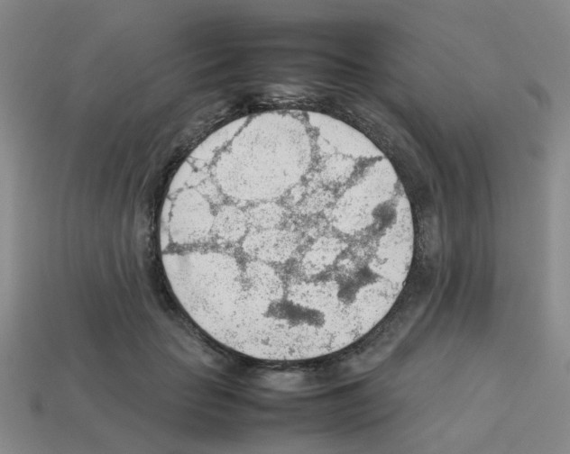 X0000112810653200910021141