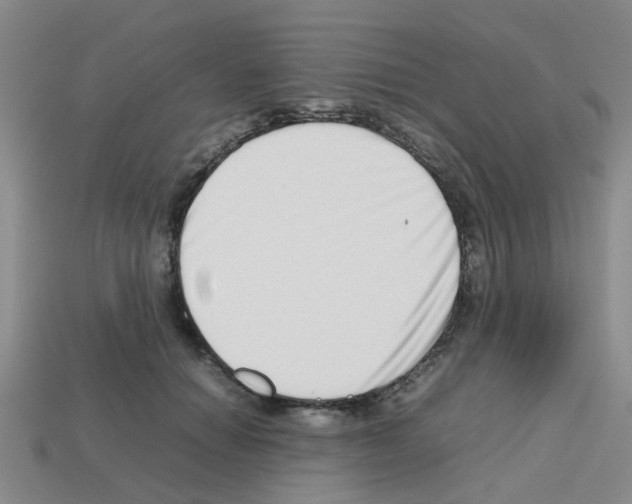 X0000112810654200910021141