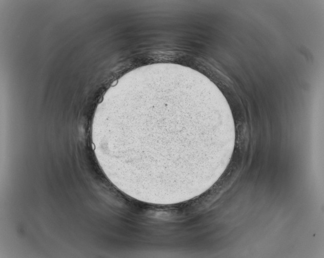 X0000112810655200910021141