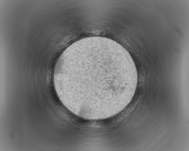 X0000112810656200910021141