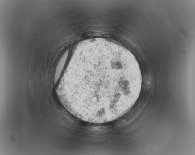 X0000112810657200910021141