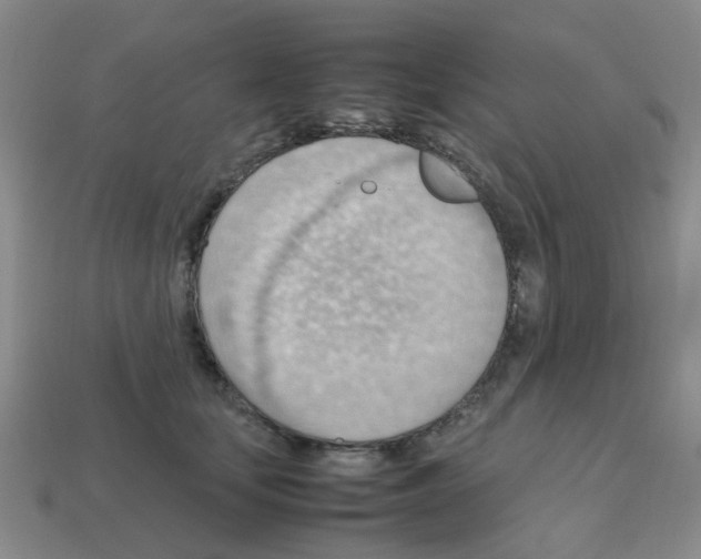 X0000112810659200910021142