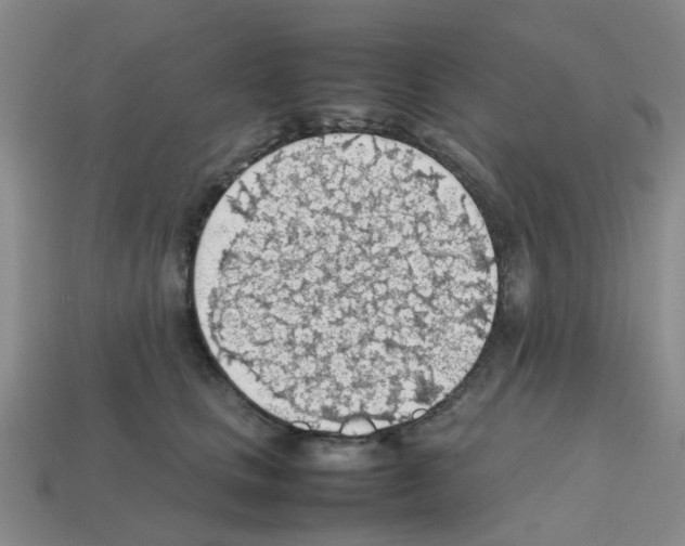 X0000112810661200910021142