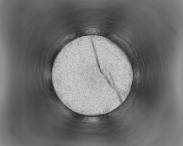X0000112810665200910021142