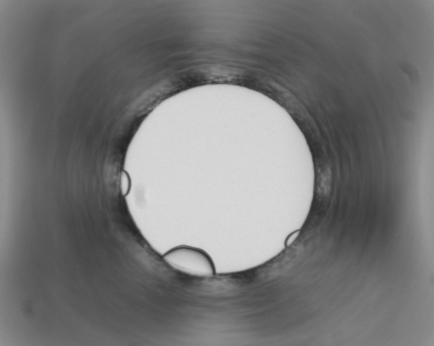 X0000112810666200910021142