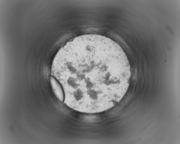 X0000112810669200910021142