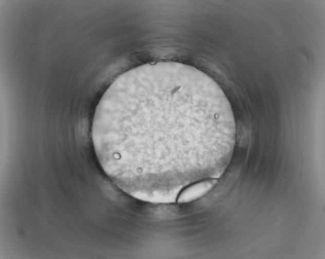 X0000112810670200910021142