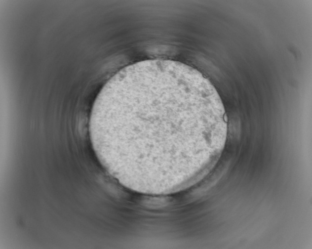 X0000112810671200910021142