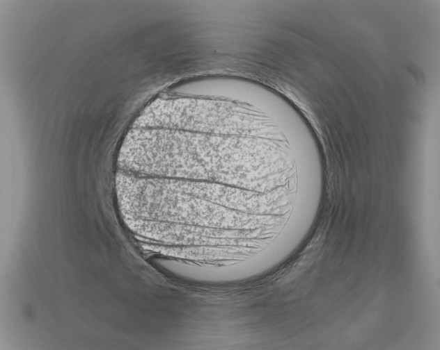 X0000112810673200910021141