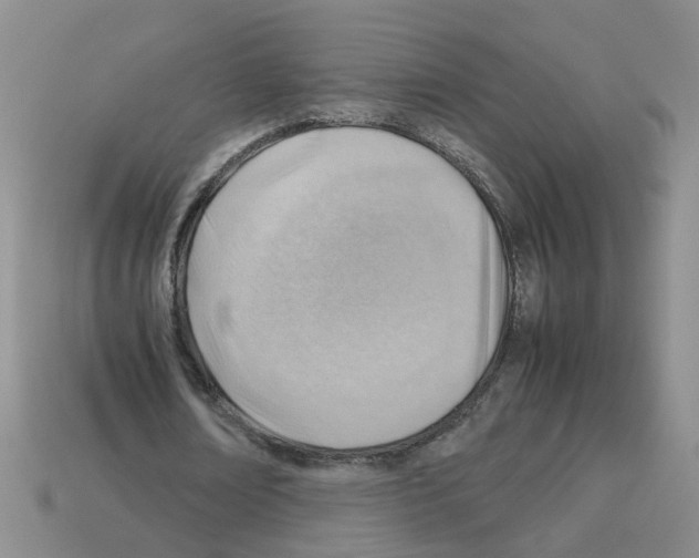 X0000112810674200910021141