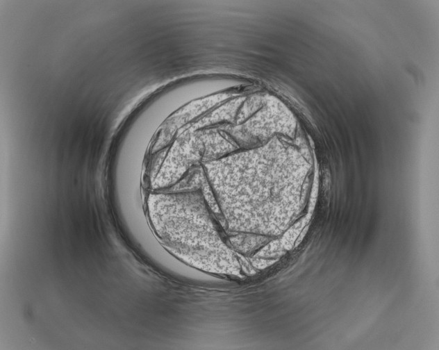 X0000112810676200910021141