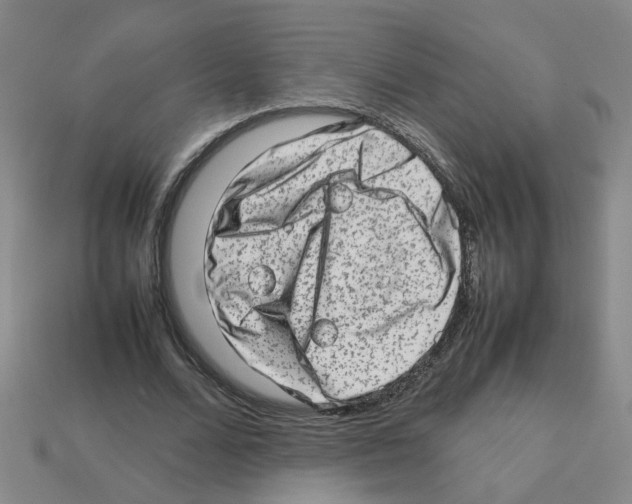 X0000112810680200910021141