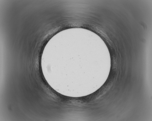 X0000112810681200910021141