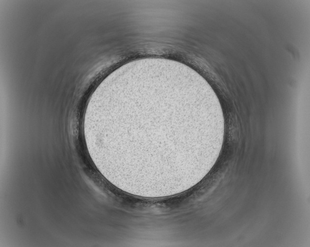 X0000112810683200910021141