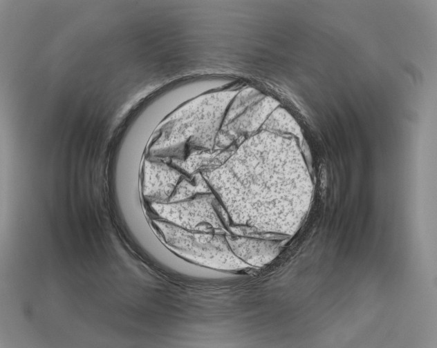 X0000112810684200910021141