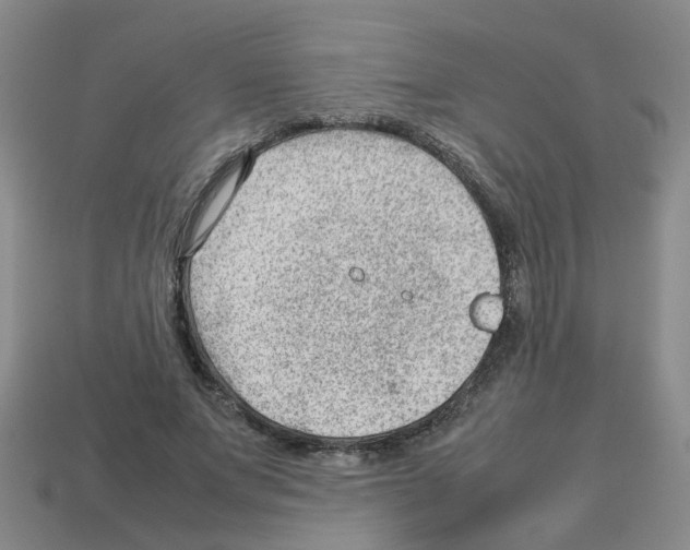 X0000112810687200910021141