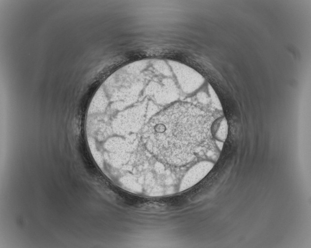 X0000112810691200910021141