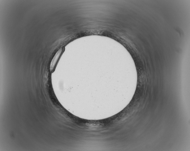 X0000112810693200910021141