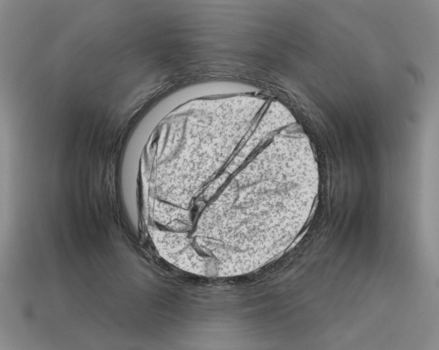X0000112810696200910021141