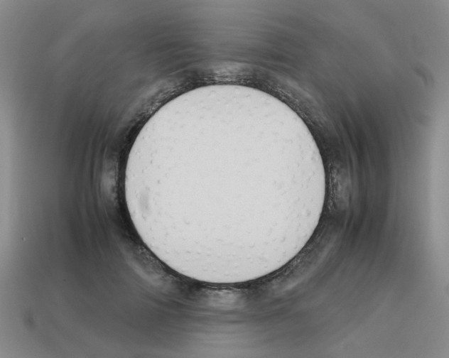 X0000112810698200910021141