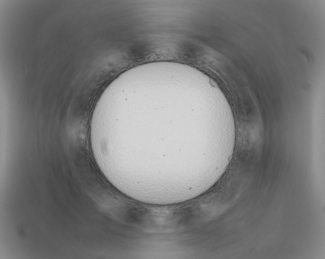 X0000112810701200910021141
