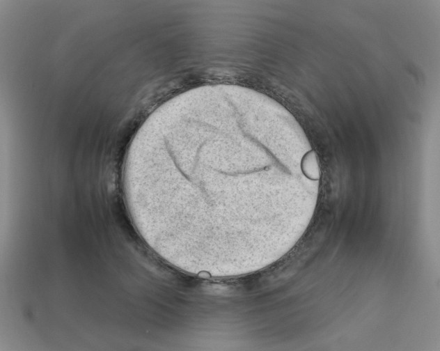 X0000112810706200910021141