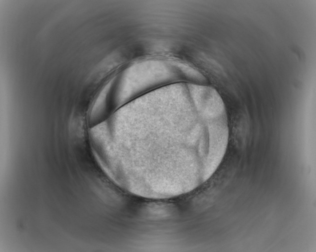 X0000112810708200910021141