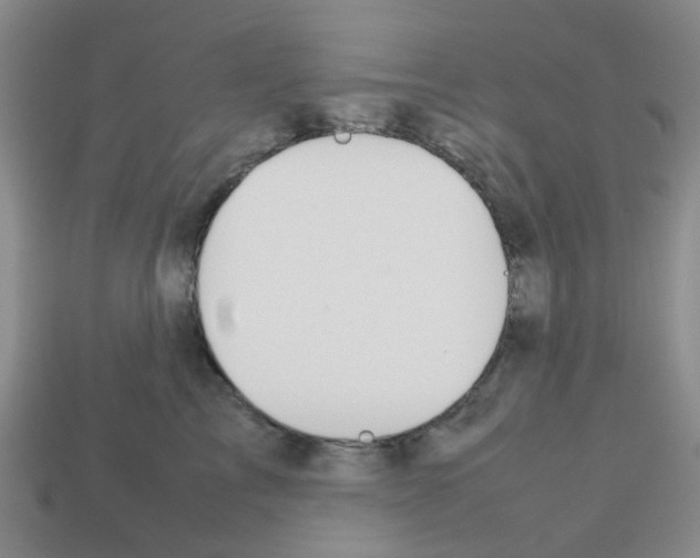 X0000112810713200910021141