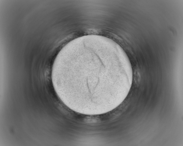 X0000112810714200910021141