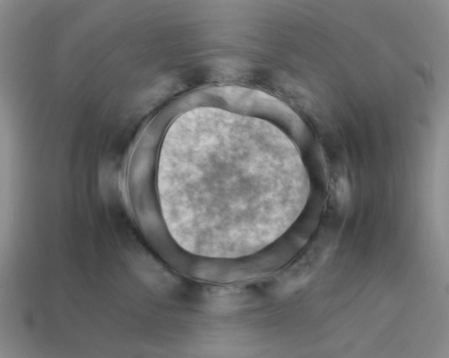 X0000112810716200910021141