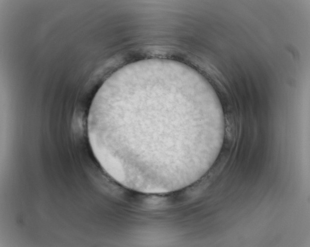 X0000112810718200910021140