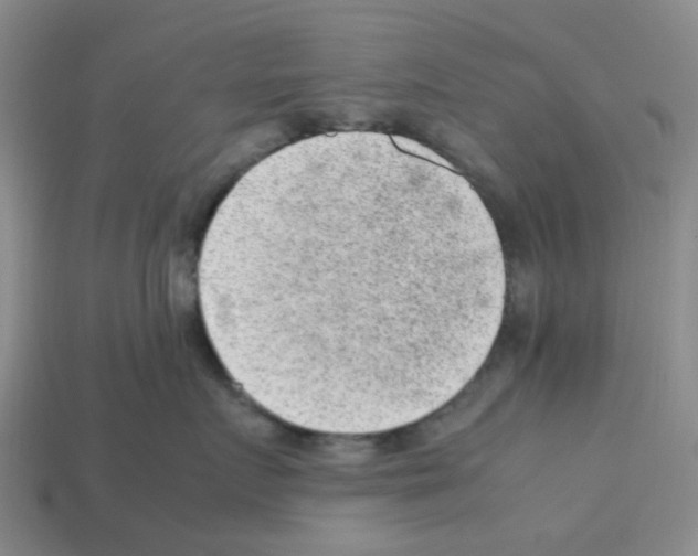 X0000112810719200910021140