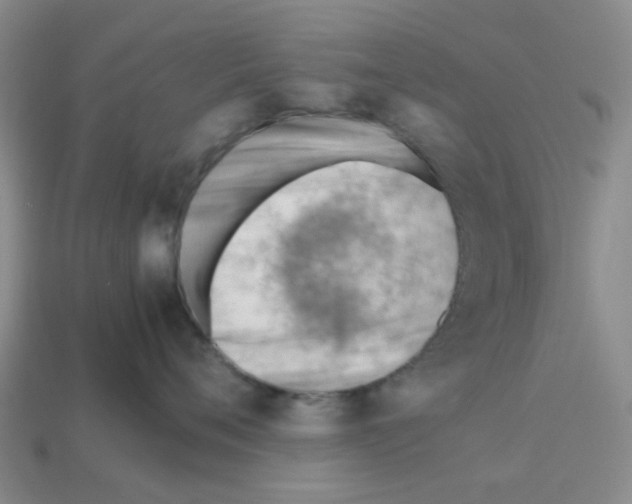 X0000112810720200910021140